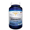 Echinacea 250 Mg 60 Cápsulas Systems