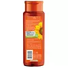 Champú Coloursafe Cobrizos 300 Ml Naturaleza Y Vida