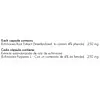 Echinacea 250 Mg 100 Cápsulas Healthy América