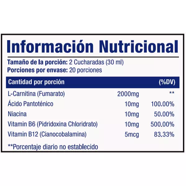 L-Carnitine 2000 Mg 480 Ml Systems